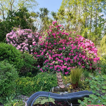 Ferienwohnung Gartenblick 韦斯特施泰德 外观 照片