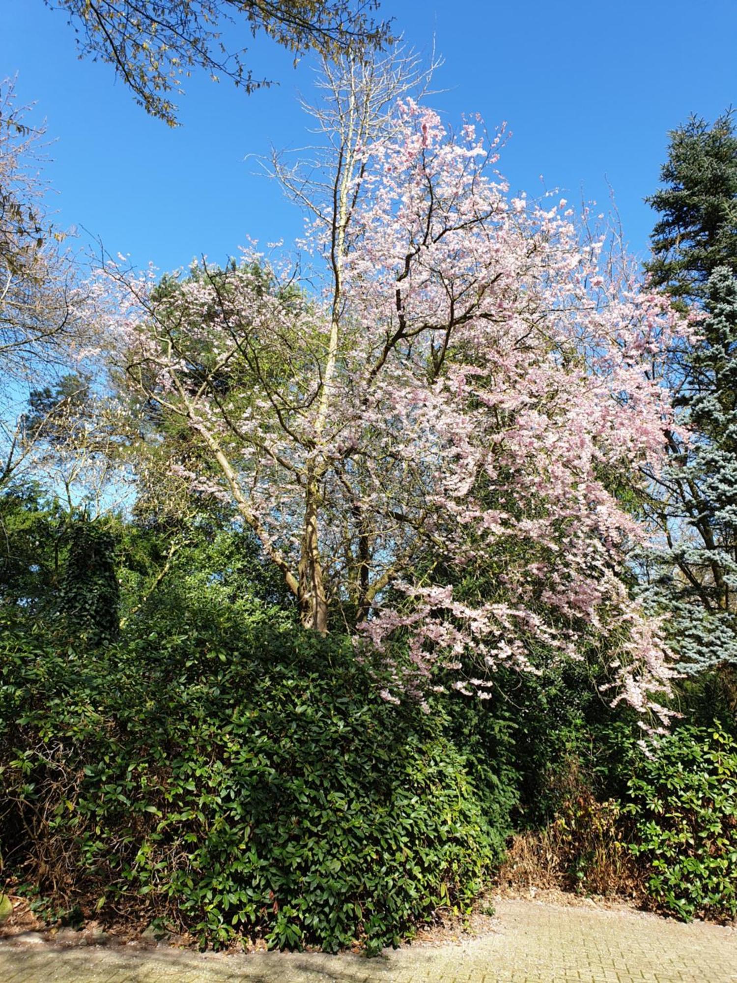 Ferienwohnung Gartenblick 韦斯特施泰德 外观 照片