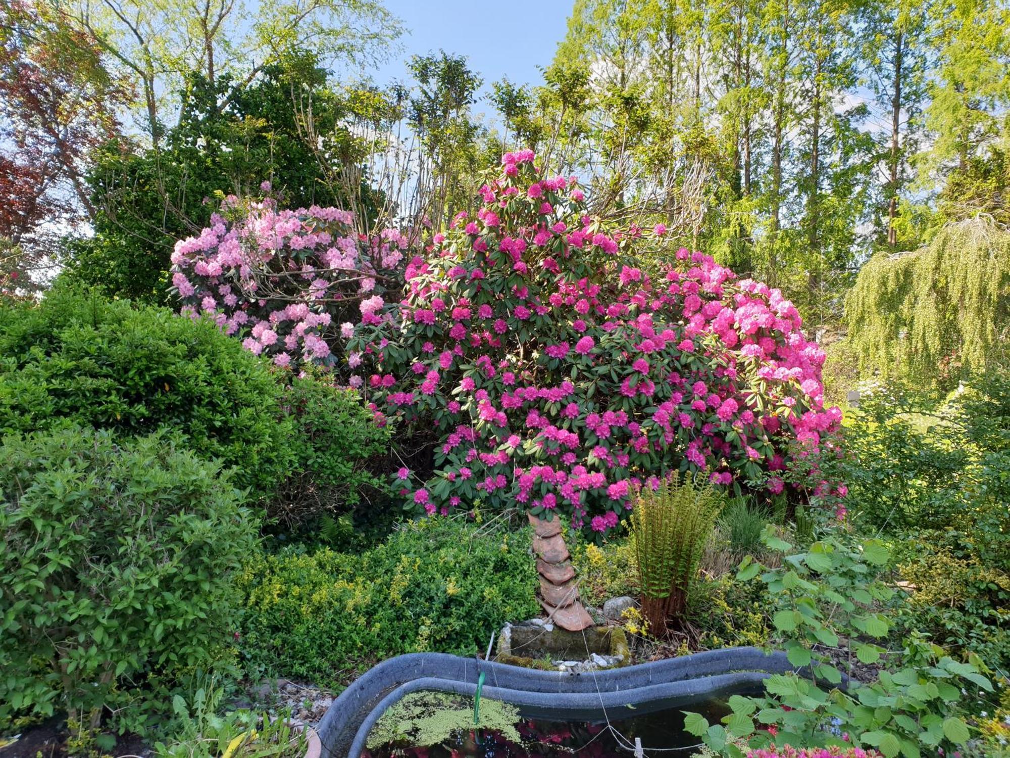 Ferienwohnung Gartenblick 韦斯特施泰德 外观 照片