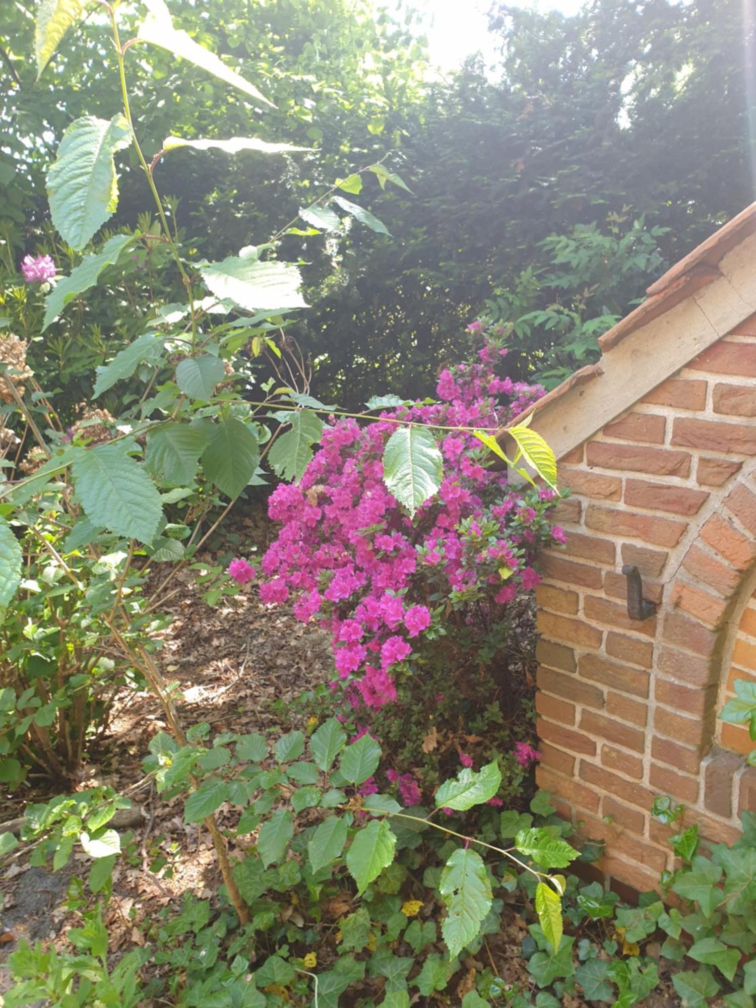 Ferienwohnung Gartenblick 韦斯特施泰德 外观 照片